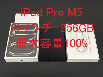 ◆送料無料◆iPad Pro M5 256GB 11インチ Wi-Fi MDWK4J/A◆充放電回数51回 最大容量100% スペースブラック