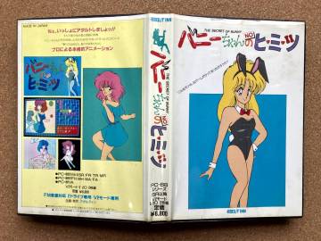 PC-8801mkIISR バニーちゃんのヒミツ ADULT INN アダルティン PC8801