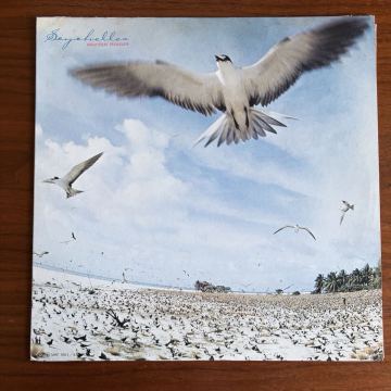オリジナル盤 初版　高中正義 SEYCHELLES セイシェルズ レコード LP MKF 1003 国内盤 Takanaka Masayoshi フュージョン ジャズ jazz fusion
