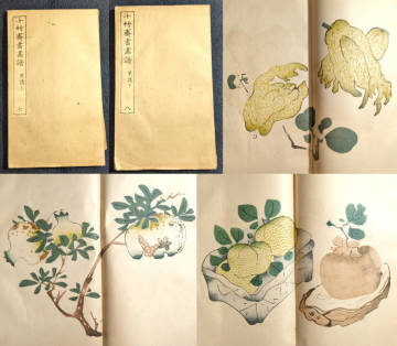 Y183 彩色 木版画 絵入◆十竹斎書画譜◆果譜2冊揃 胡正言 絵手本 絵本 中国 唐本 戦前時代物 浮世絵UKIYOE 骨董古美術古典籍古文書和本古書