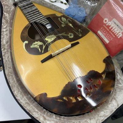 岸170 美品 1円〜 Raffaele Calace&Figlio Type16 bis マンドリン ラファエレカラーチェ 弦楽器 楽器 ハードケース付