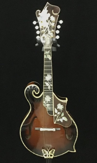 Antonio Tsai F-Style Mandolin アントニオ・ツァイ マンドリン 中古 ノーメンテ 現状渡し Ec6029