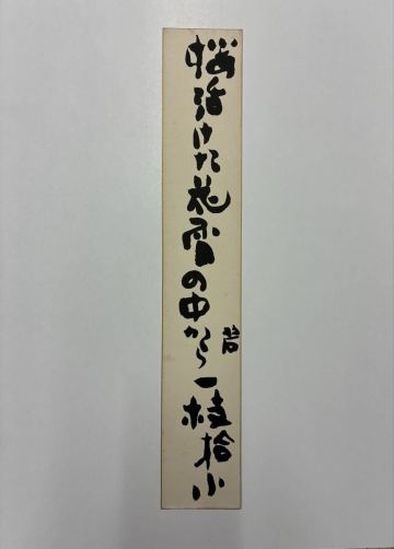 ３２　河東碧梧桐 肉筆短冊 自筆 直筆 俳句 俳人 随筆家 俳句革新運動