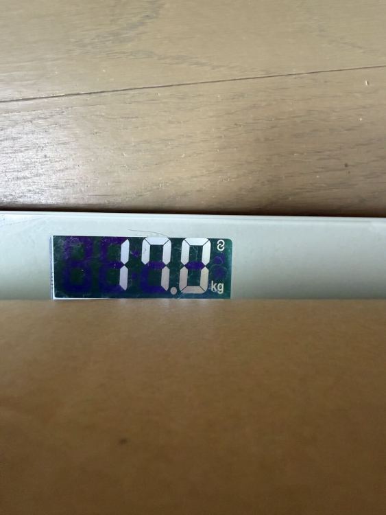 約17kg 日本 銀貨 1圓 古銭 まとめ 外国コイン まとめて 貨幣 硬貨 古銭 外国硬貨 外貨 海外コイン 外国古銭 