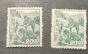 昭和透かしなし　植林　未使用2枚　　　管E2
