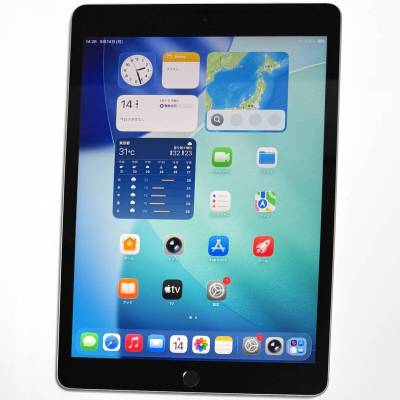 Apple iPad (第9世代) (10.2インチ) シルバー 256GB MK2P3J/A Wi-Fiモデル iOS26.6.2 バッテリー最大容量86％ (充放電回数315回)