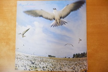 D4-049＜LP/美盤＞高中正義 / SEYCHELLES - 今井裕/林立夫/斉藤ノブ/ジェイク.Ｈ.コンセプション/井上陽水/タンタン/高橋幸宏