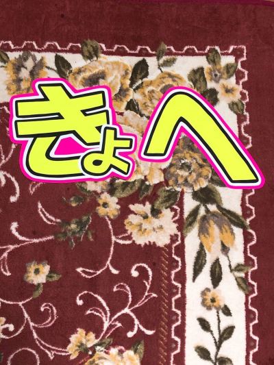 ★手作りうちわ★文字のみ★高橋恭平