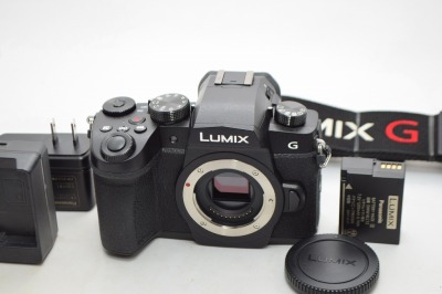 美品★Panasonic パナソニック LUMIX DC-G99 ボディ★ショット数約3000回