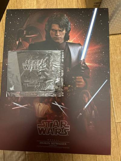 ホットトイズ アナキン スカイウォーカー ダークサイド スター・ウォーズ エピソード３ シスの復讐 1/6 フィギュア