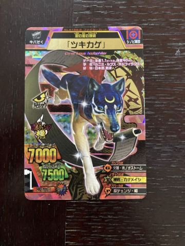 アニマルカイザー カード　ツキカゲ