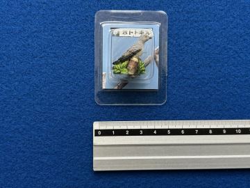 カバヤ 日本の小鳥 第2集 彩色済フィギュアコレクション ■19.ホトトギス　／オウム インコ チョコエッグ Q 動物園 バードウオッチング