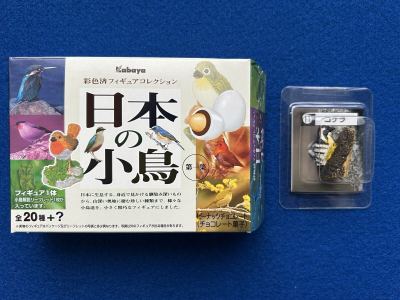 カバヤ 日本の小鳥 第一集 彩色済フィギュアコレクション ■11.コゲラ　／オウム インコ チョコエッグ Q 動物園 バードウオッチング