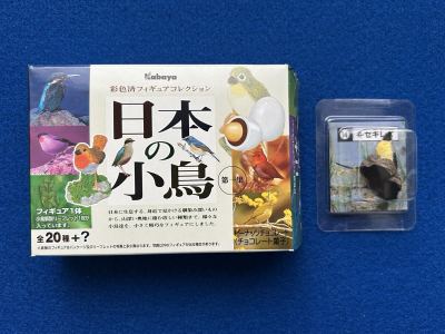 カバヤ 日本の小鳥 第一集 彩色済フィギュアコレクション ■14.キセキレイ　／オウム インコ チョコエッグ Q 動物園 バードウオッチング