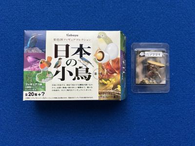 カバヤ 日本の小鳥 第一集 彩色済フィギュアコレクション ■16.ミソサザイ　／オウム インコ チョコエッグ Q 動物園 バードウオッチング