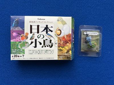 カバヤ 日本の小鳥 第一集 彩色済フィギュアコレクション ■17.シジュウカラ　／オウム インコ チョコエッグ Q 動物園 バードウオッチング
