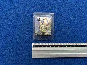 カバヤ 日本の小鳥 第一集 彩色済フィギュアコレクション ■18.モズ　／オウム インコ チョコエッグ Q 動物園 バードウオッチング