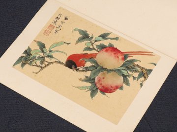 【模写】【伝来】ik2138〈田世光〉桃小禽図 大壽 マクリ 中国画 師承張大千