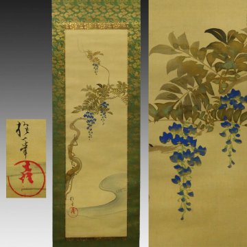 【真作】喜聞「酒井抱一 流水に藤花図(三條公修賜)」　1幅 古筆 古文書 古書 日本画 江戸琳派 江戸絵画 春の草花 暉真 茶道 姫路 江戸後期