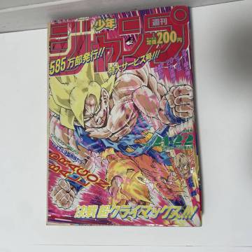 当時物 週刊少年ジャンプ 1991年 21-22号 ドラゴンボール表紙スラムダンク 幽遊白書 ジョジョの奇妙な冒険