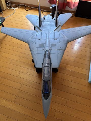 【ラジコン飛行機】【F-14トムキャット】【70mmツインEDF】【未飛行】【引取限定】