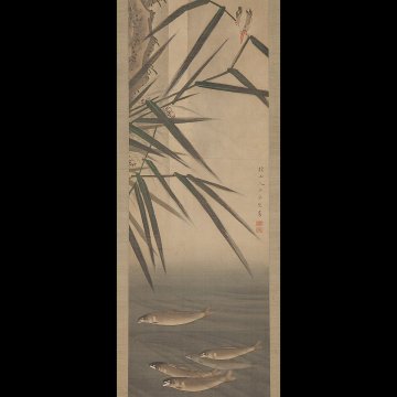【五】小泉檀山(小泉斐) 『香魚図』 絹本 淡彩 掛軸 箱付 真作