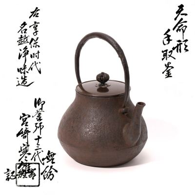御釜師 宮崎 寒雉 造 十三代 煎茶道具 茶道具 急須 時代物 在銘 共箱