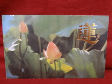M【1536】★外国切手 中国切手 中國人民郵政 1980年 T54 4種完品 蓮の花 未使用★中華人民共和国 コレクション ヴィンテージ 経年保管品