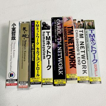 e667-60 カセットテープ TMネットワーク TM NETWORK 小室哲哉 8点 1点ケースのみ中身無し まとめて gorilla carol 天と地と
