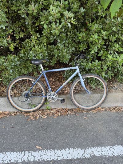 ブリジストン WILD WEST 90s OLD MTB ４６サイズ　美品　オリジナル