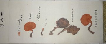 【巻物】　釈宗活　「霊芝記」　真作　真筆保証　臨済宗の僧　両忘会を釈宗演の指示により再興　渡米して道場を開く　今北洪川