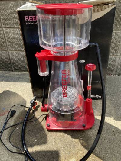 レッドシー プロテインスキマー REEFER RSK-600 50Hz 中古