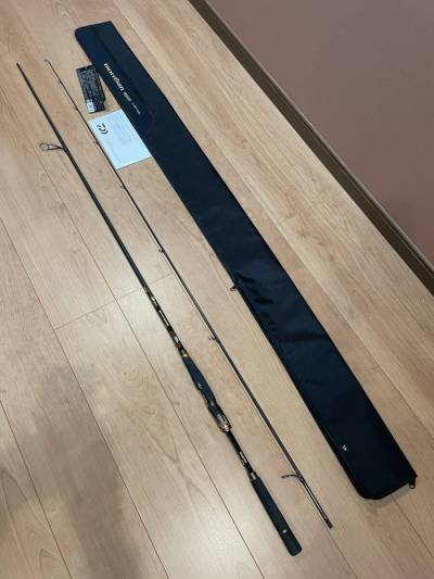 ダイワ モアザンブランジーノEX AGS 94ML