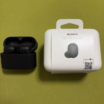 SONY WF-1000XM6