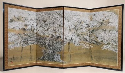 【和の美】 ★1円スタート★ 伊藤嘉晃　薄墨桜図 屏風 フランクリン画廊認定書付　1曲 縦約92cm 幅約44-46cm &times; 4曲　春 古美術 インテリア