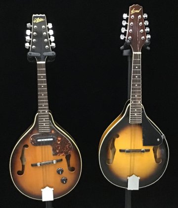 Aria AM-200E & VISION VMA-25 アリア ビジョン エレクトリック フラットマンドリン 中古 ノーメンテ 現状渡し Ec1452