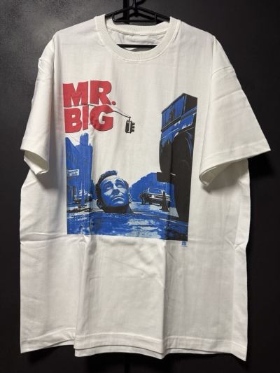 MR BIG _ 1993 Tour T_shirts XL Tagless Paul Gilbert Eric Martin David Lee Roth Aerosmith Buckcherry Jimi Hendrix 