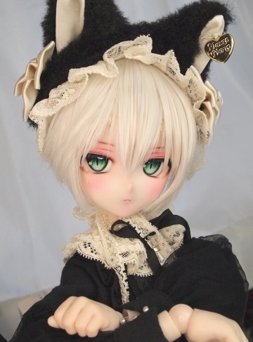 *あさぎ堂* DDH-10 カスタムヘッド アイ２種おまけ ソフビ盛の難あり セミホワイト肌 ドルフィードリーム 猫口