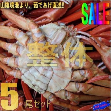 釜揚げ直送!!【整体】5尾で2.5kg 紅ずわい蟹「紅蟹AA2.5kg」