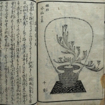 987 和本　河原邊流　挿花秘伝こがねのはな　広重画　天保
