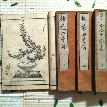 990 和本　遠州流　挿花四季詠　4冊揃 菱川宗理/画　華道　絵入　文政　華道　