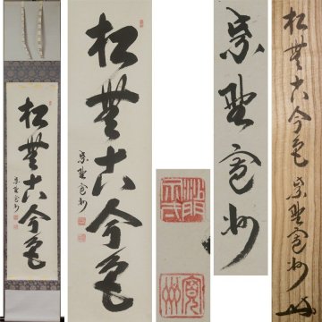 《源》【即決・送料無料】《茶掛》大徳寺 長谷川寛州 筆 一行書「松無古今色」/共箱付