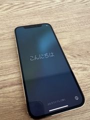 &divide;2 【通電動作確認済み】 【初期化済み】 iPhone 12 Pro 256GB レンズ割れ 【スマホ】 【1】